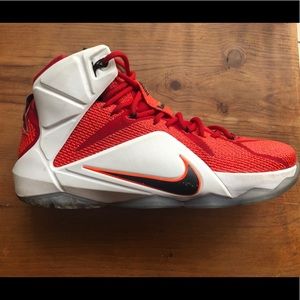 Lebron James Heart Of A Lion